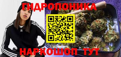 молекула духа Обнинск