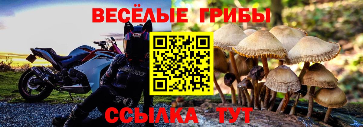 Галлюциногенные грибы Cubensis  Вход с VPN  Георгиевск 