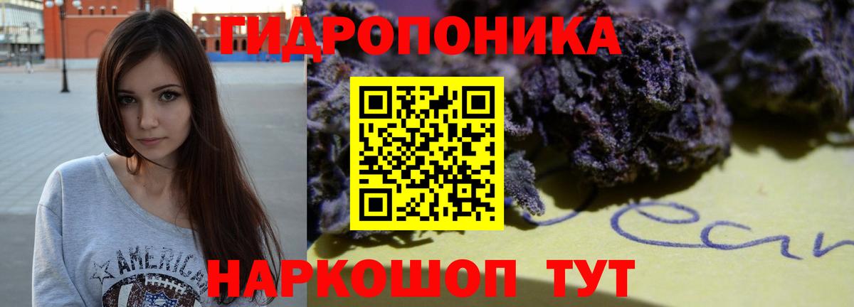 Шишки марихуана семена Георгиевск